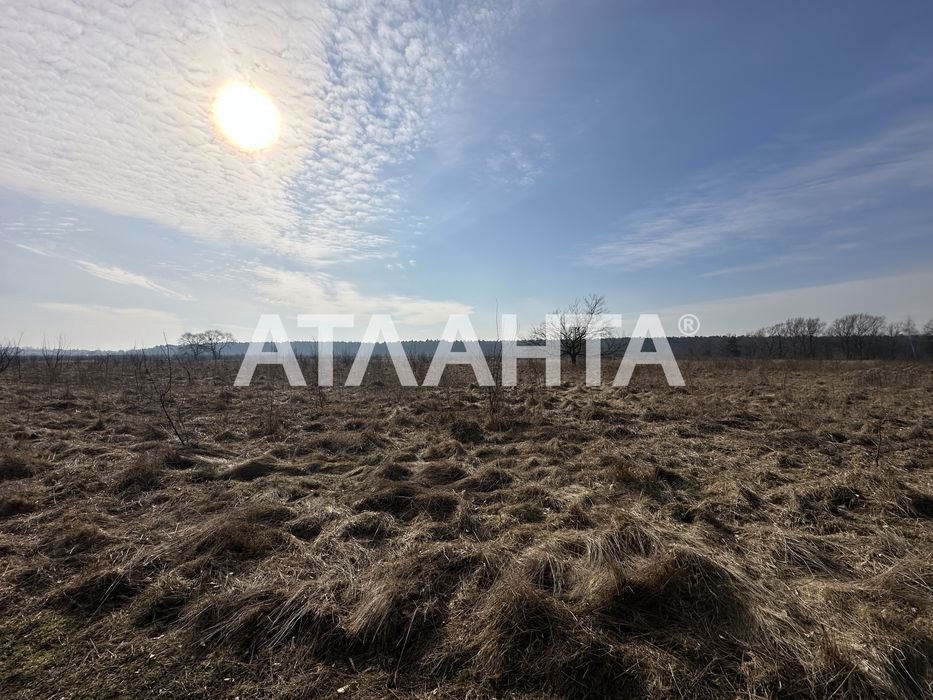 Продаж ділянки під забудову с.Ставчани