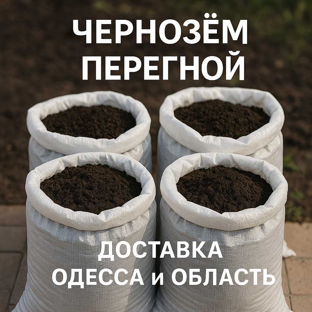 Чернозём с характером – плодородная земля для настоящего урожая!