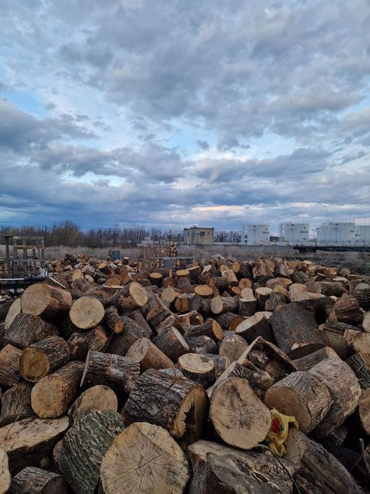 Дрова в Одессе и области