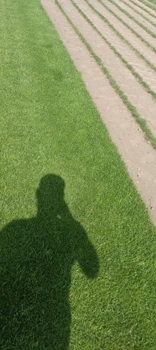 Trawa z rolki,trawnik z rolki