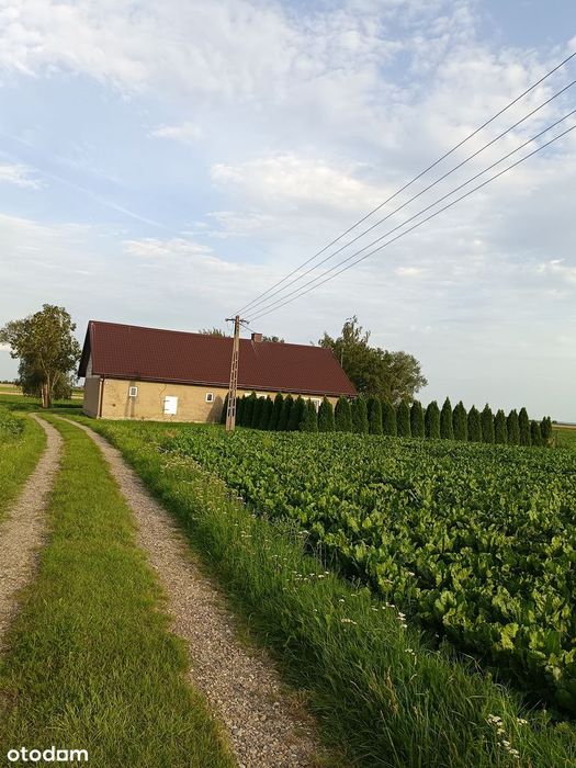 Urokliwy dom na sprzedaż z dużą działką