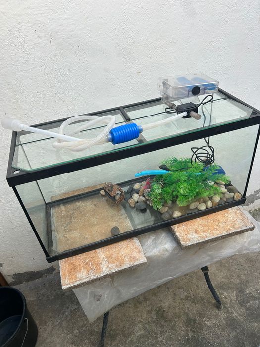 Aquário + equipamentos