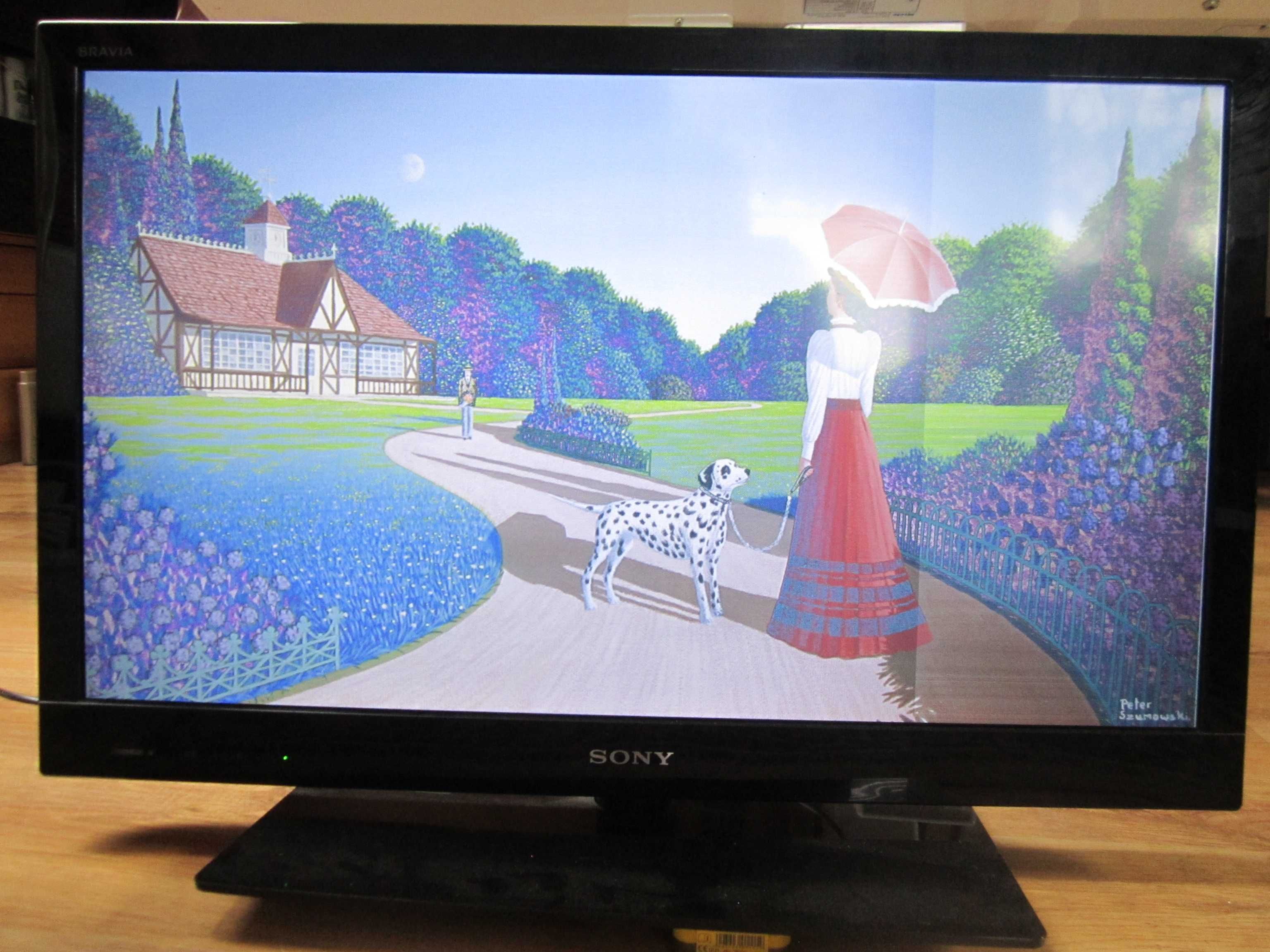 telewizor SonyKDL-32EX310 uszkodzony