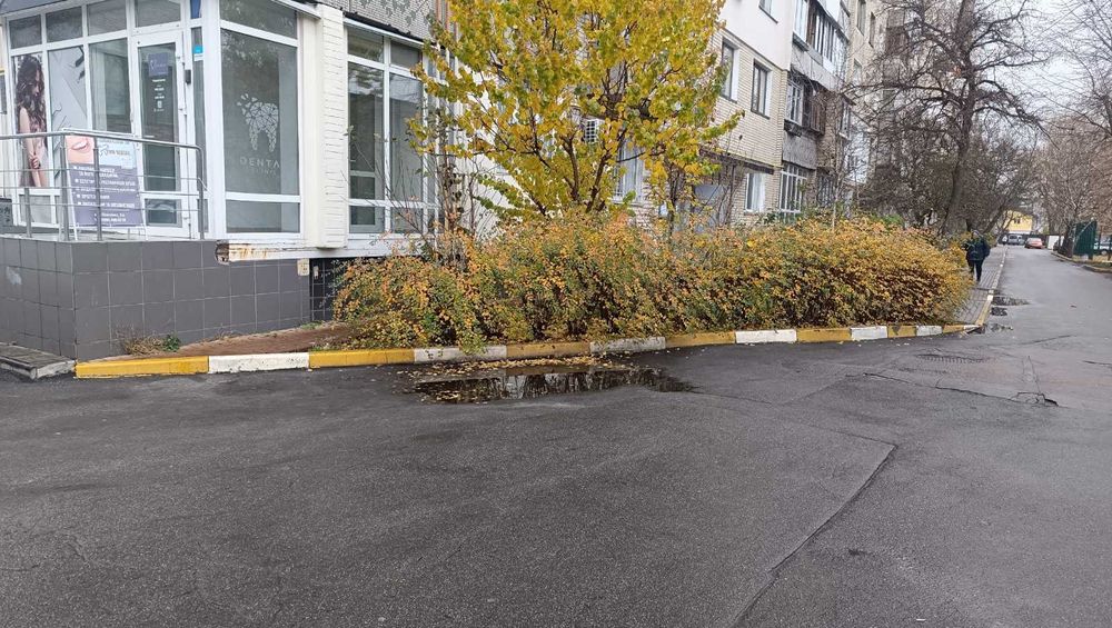 Продам комерційне приміщення в центрі міста. Окремий вхід, з ремонтом.