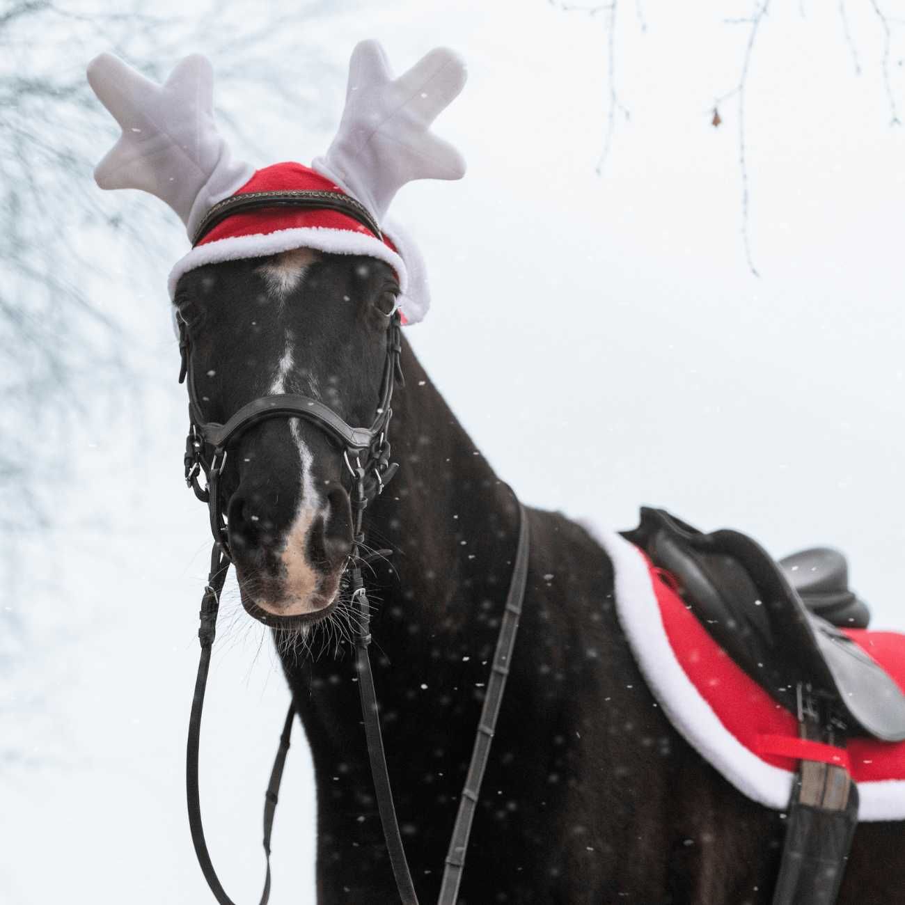 Zestaw York świąteczny czaprak nauszniki Renifer owijki Pony