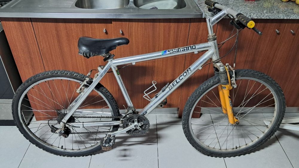 Bicicleta de montanha