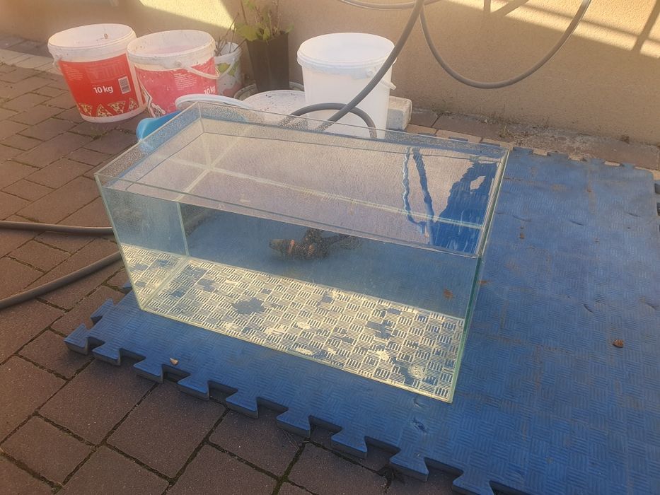Akwarium 54l wymiary 30x30x60