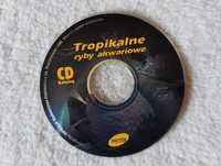 cd, tropikalne ryby akwariowe