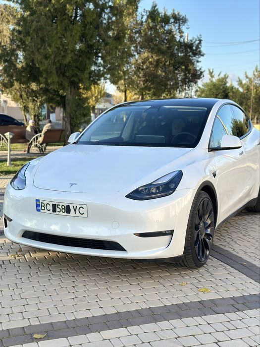 Tesla Model Y | Performance | 2022