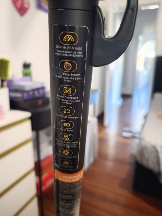 Vendo Segway Ninebot F25e