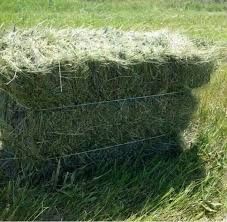 Продам сіно , сіно в тюках