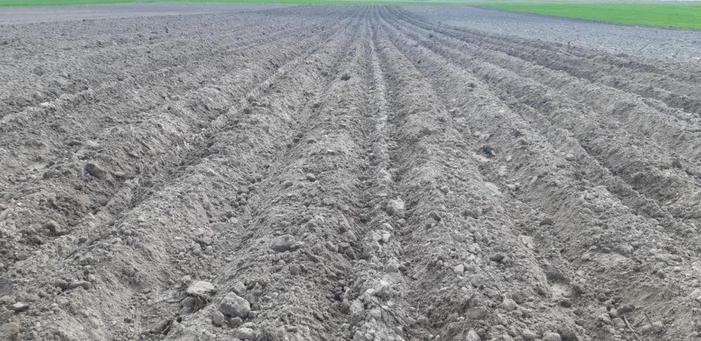 Продам 4-рядну саджалку  для картоплі в нормальному стані