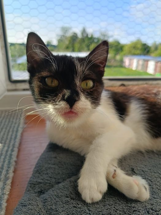 Malutka Müesli do kochania