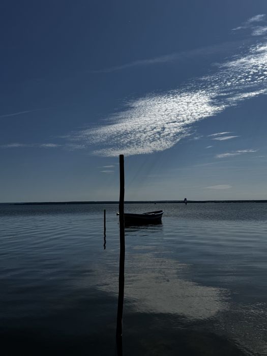 Koropetycje język niemiecki