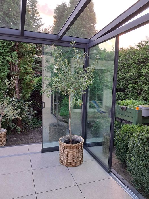 Ogród Zimowy - Nieizolowany