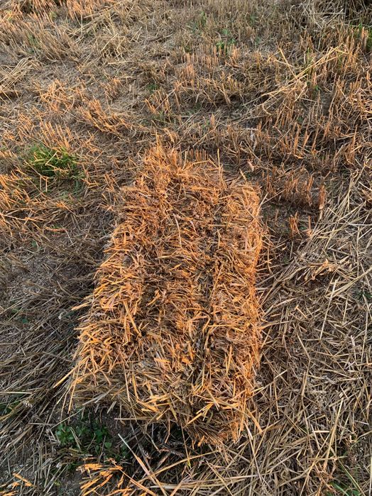 ПродамТюки соломи