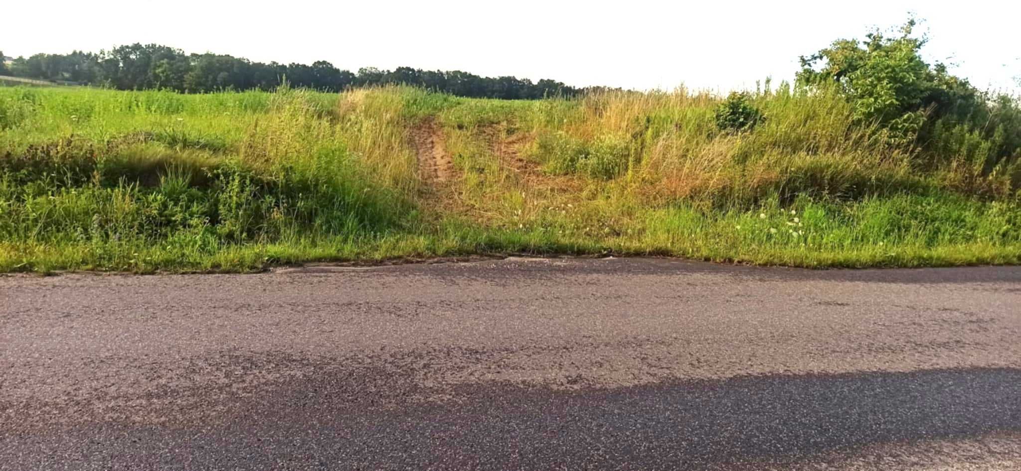 Działka w Zamku Bierzgłowskim 1,46 ha