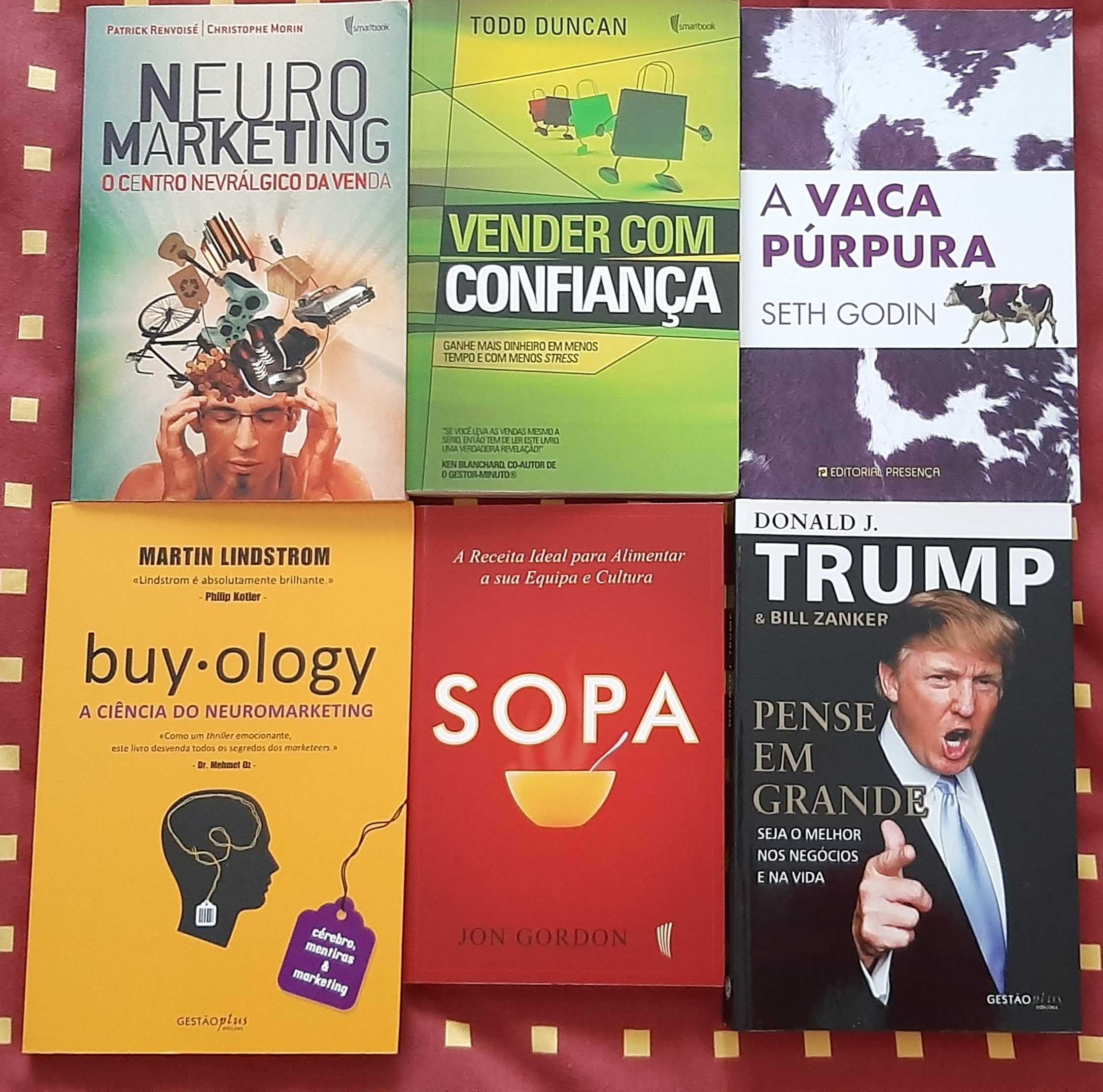 Livros de contabilidade, gestão e marketing (desde 5 €, portes grátis)