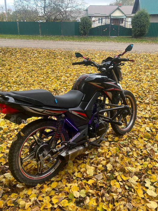 Musstang Fortune 200