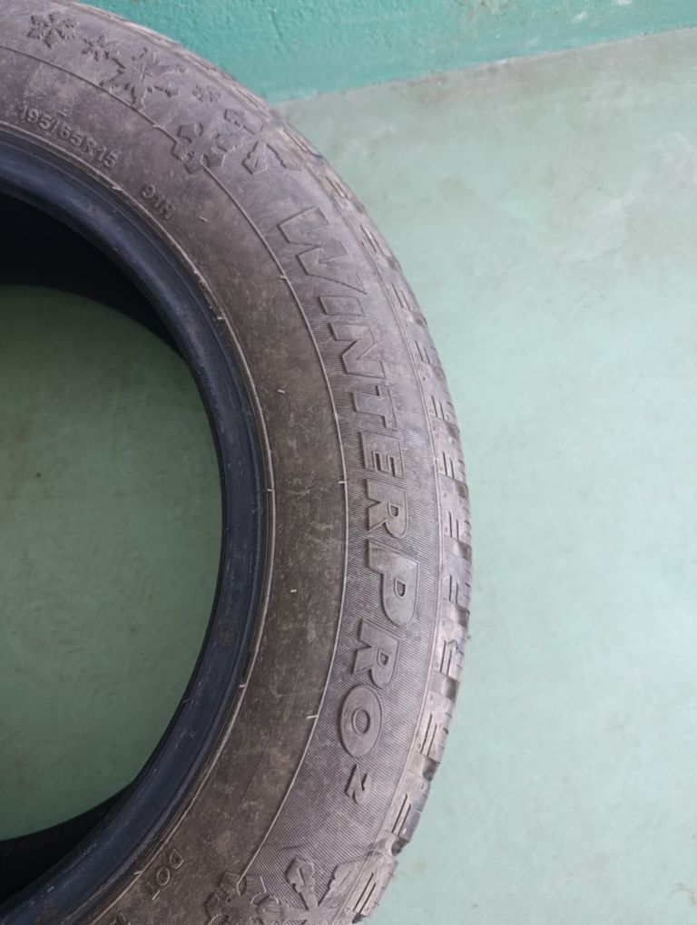 Opony zimowe Winter Pro 2 195/65R15