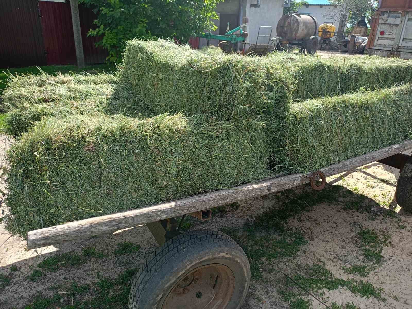 Терміново продам сіно