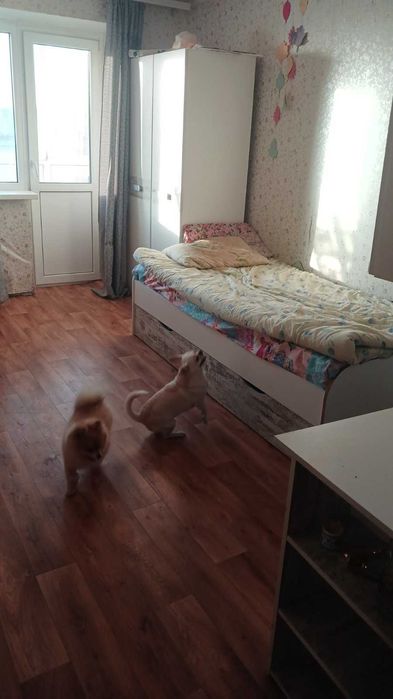 ОРЕНДА 2 кімнатної квартири