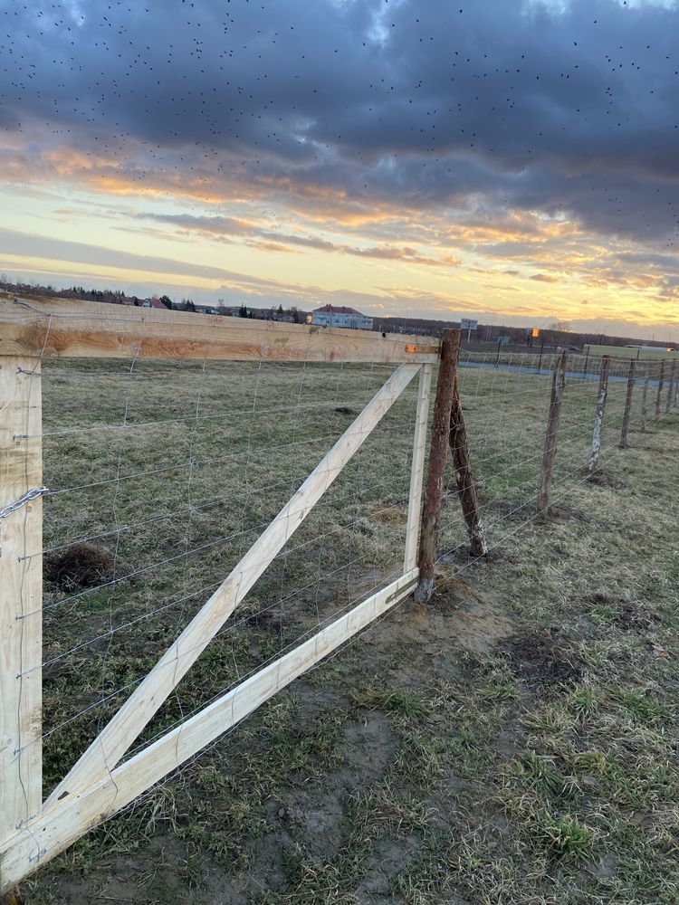 Ogrodzenie Leśne Budowlane Tymczasowe