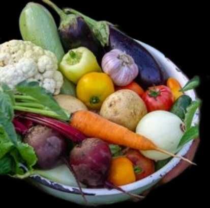 Nawóz naturalny obornik granulowany 20 kg workowany, warzywa