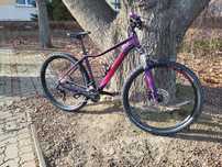 Damski Access Race koła 29" rama 19"