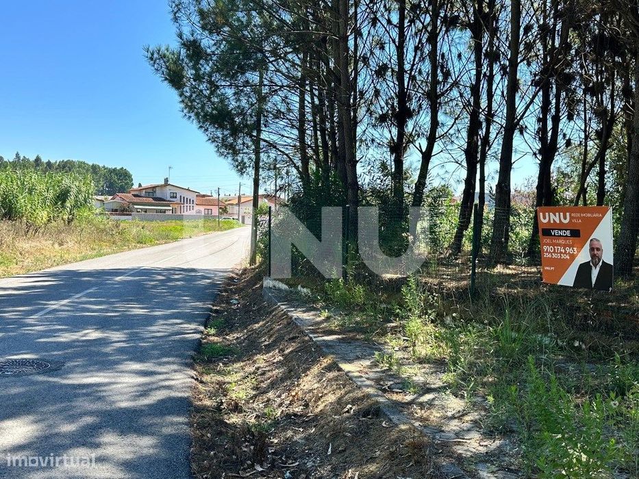 Terreno rústico, de 3.500m2, com vinha, em Bustos