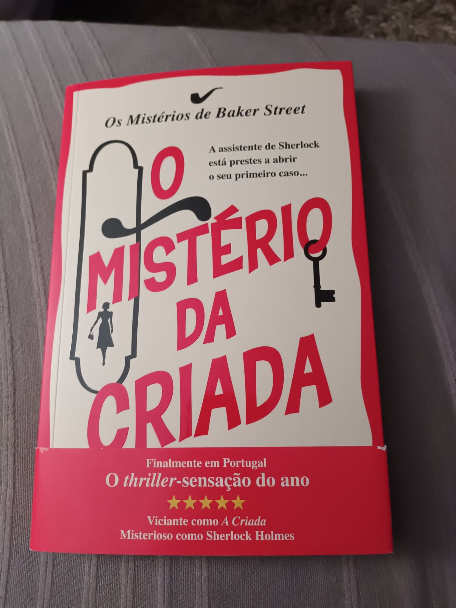 Livro O mistério da criada