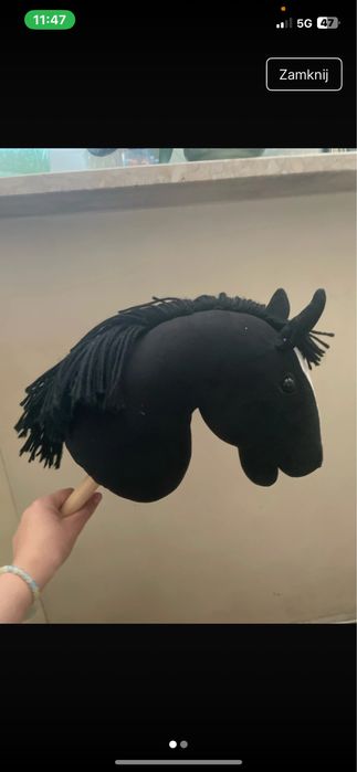 Hobby horse Lublin
