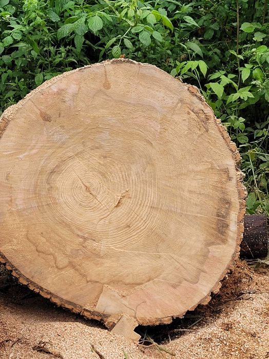 Drewno opałowe kominkowe transport opolskie