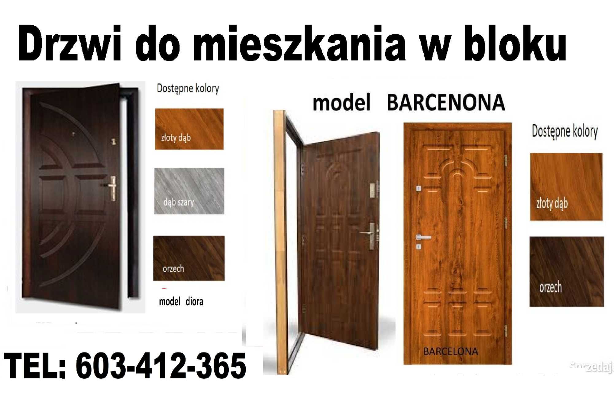 Drzwi WEJŚCIOWE zewnętrzne ,wewnątrzklatkowe z montażem