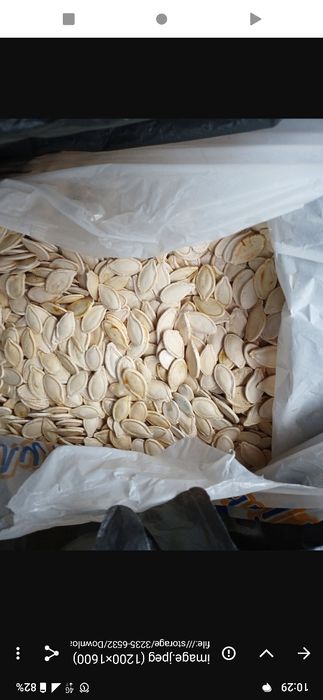 Гарбузові зернята