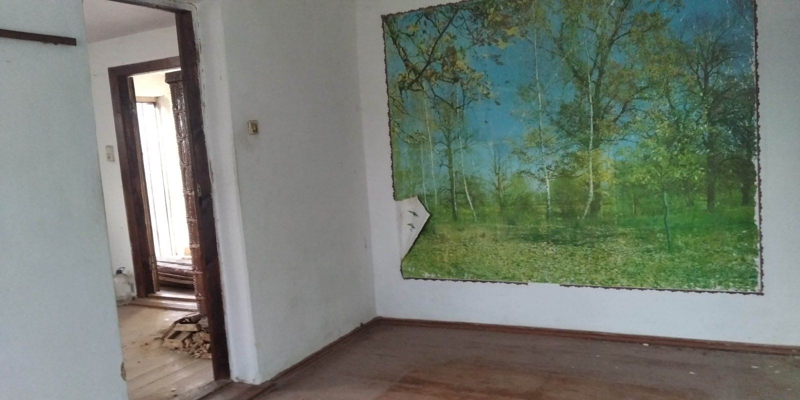 Продам будинок в с.Ільківка
