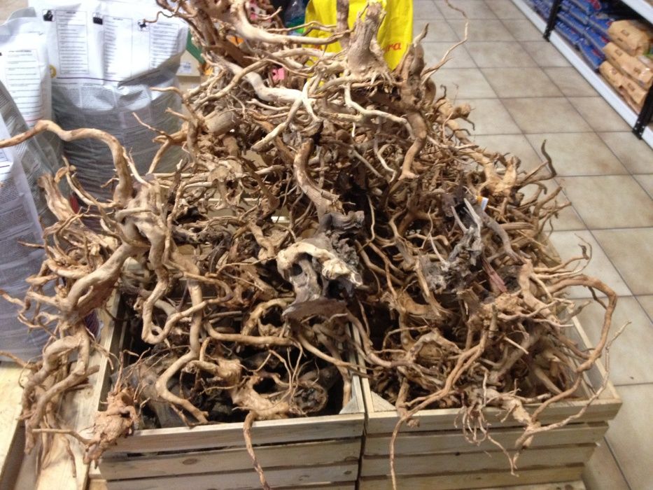 Wężyk PU system CO2 w akwarium Sklep Zoologiczny Turkusowe Zoo