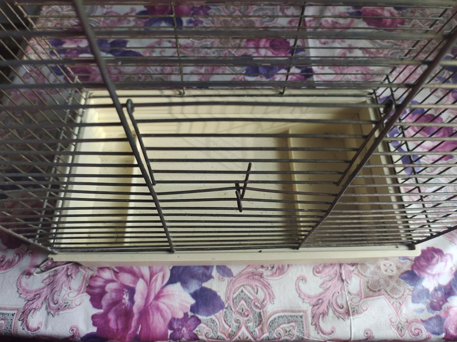 Клетка для птички бу