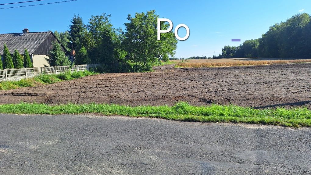 Mulczowanie wgłębne, powierzchniowe, karczowanie, wycinka drzew
