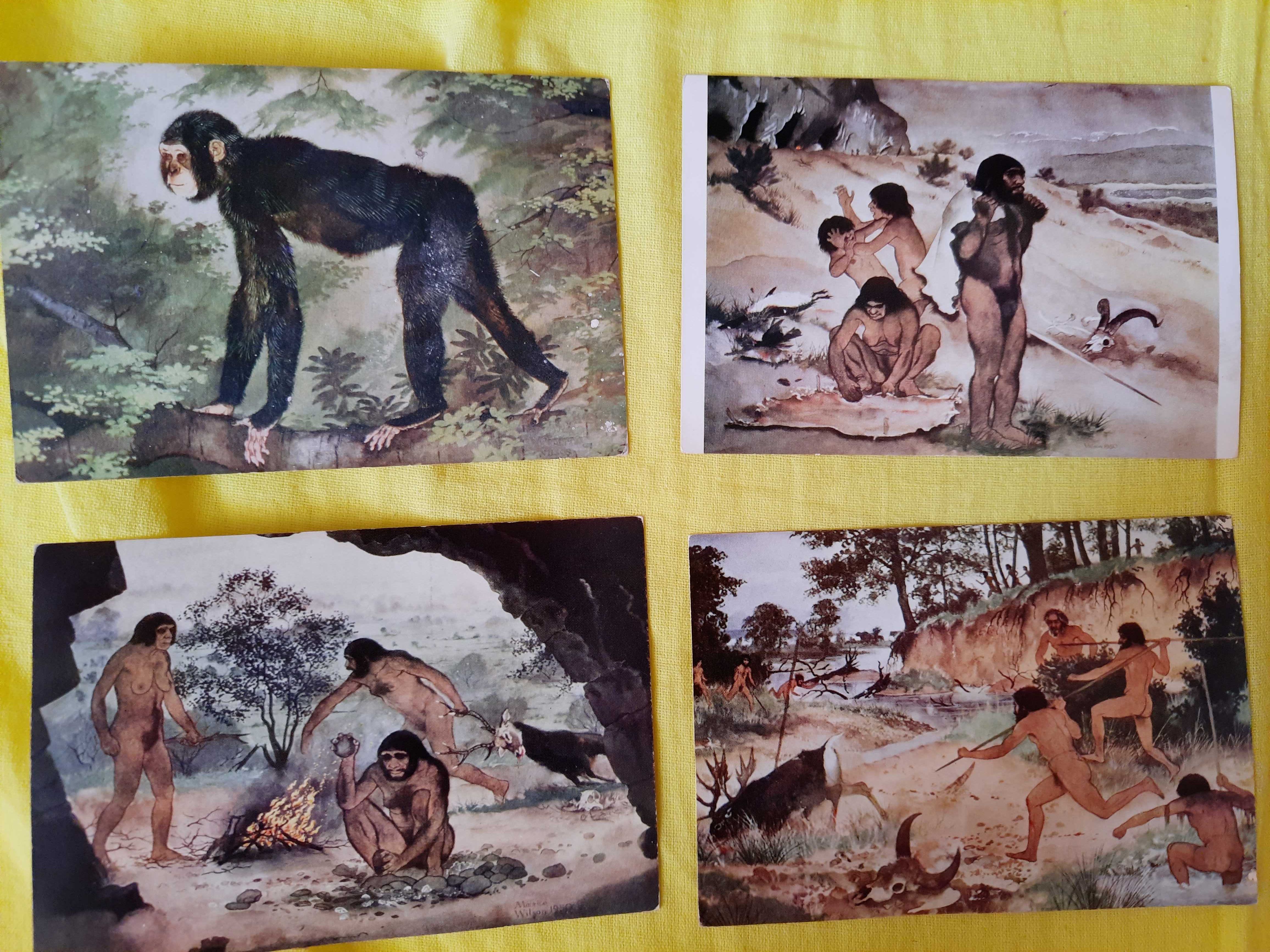 Stare pocztówki Ewolucja