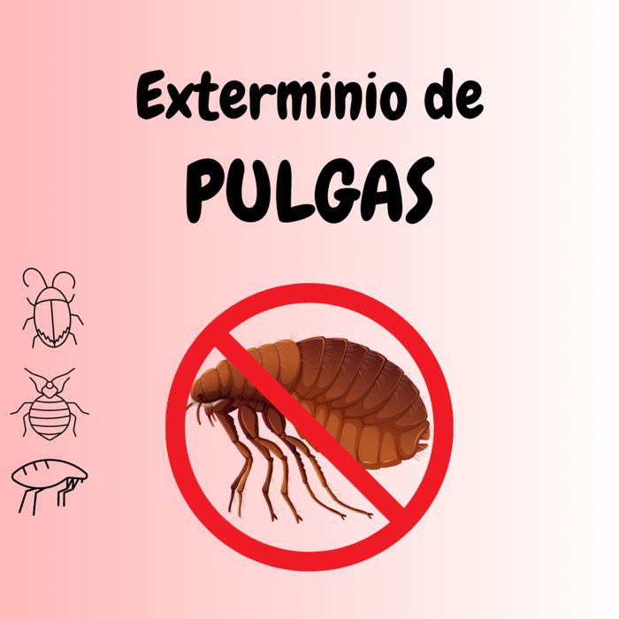 DESINFESTAÇÃO CONTROLO D EPRAGAS PERCEVEJOS BARATAS PULGAS TÉRMITAS