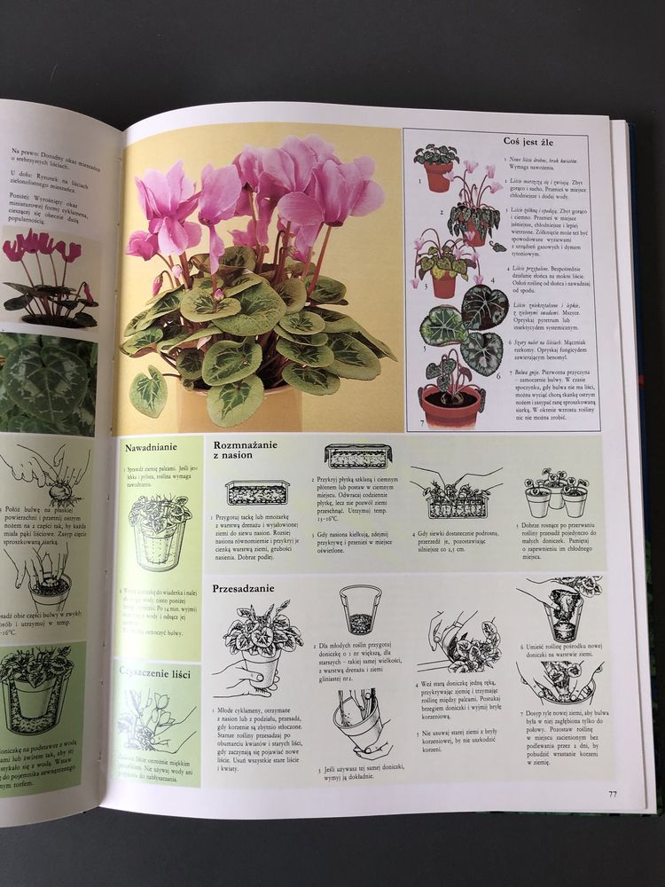 „Pielęgnowanie roślin pokojowych” David Longman, wydanie III, 1992r.