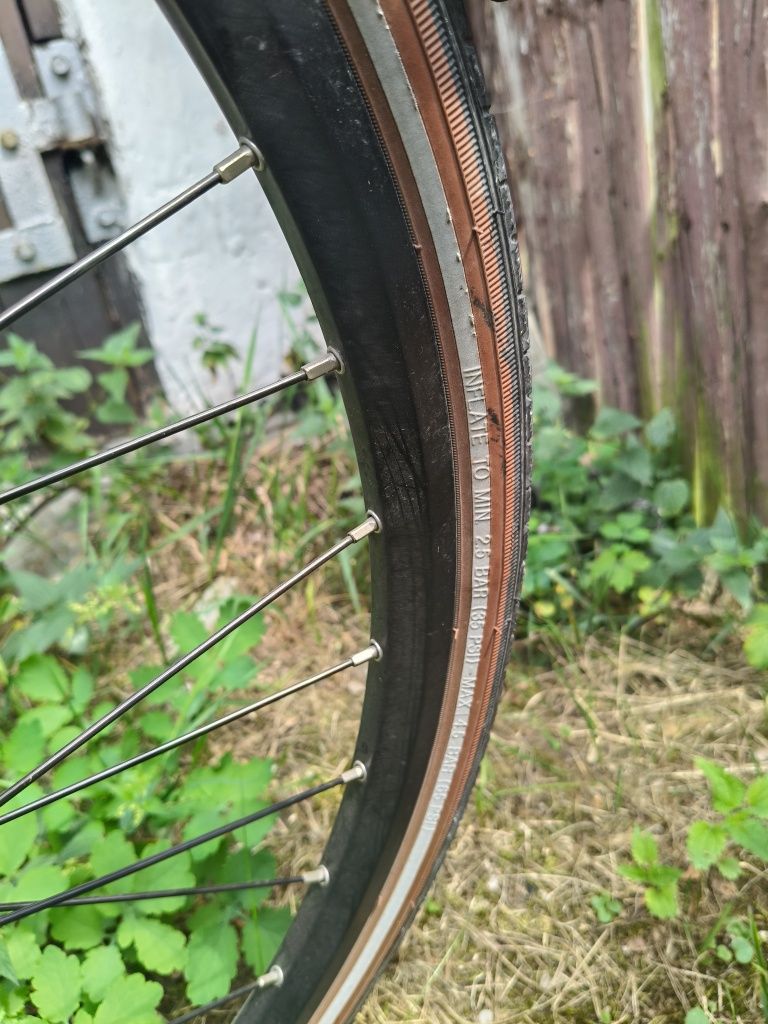 Rower Gazelle eclipse