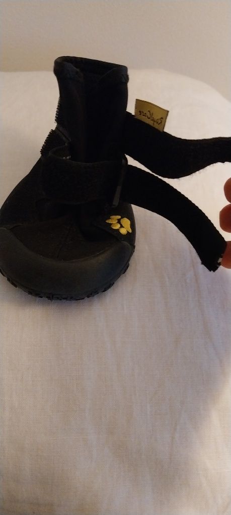 Botas novas n. 7 para cão
