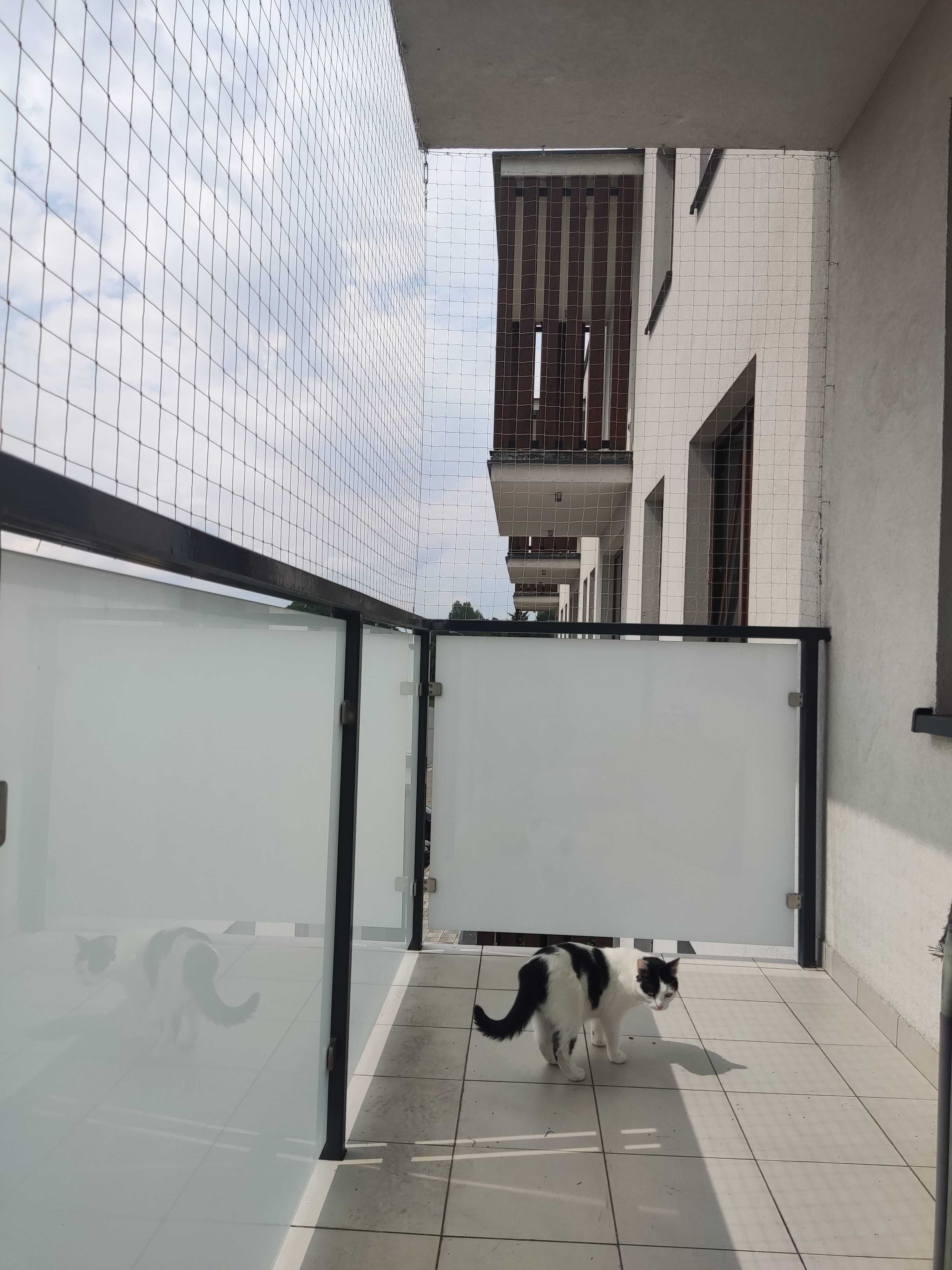 Siatka na balkon, okno dla kota/na ptaki 3mx4m beżowa