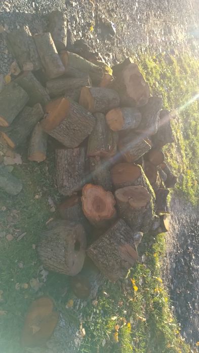 Sprzedam drzewo w kawałkach