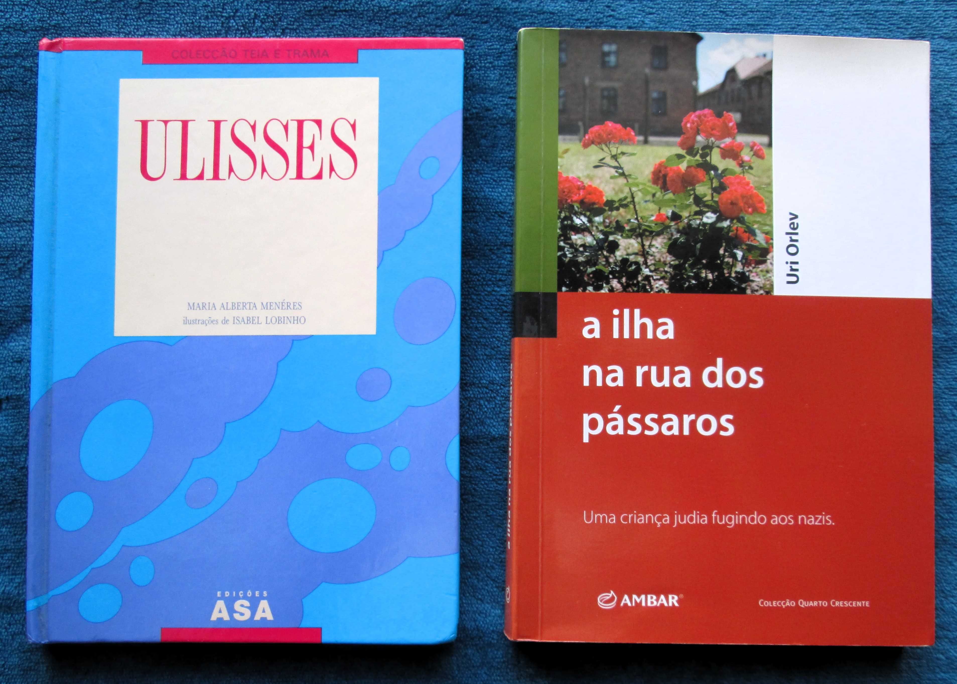 Metas Curriculares + Plano Nacional Leitura