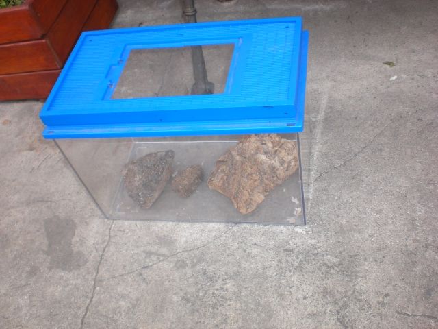 terrarium z plexa pojemnosc 20 litrów stan dobry , korzeń kamień