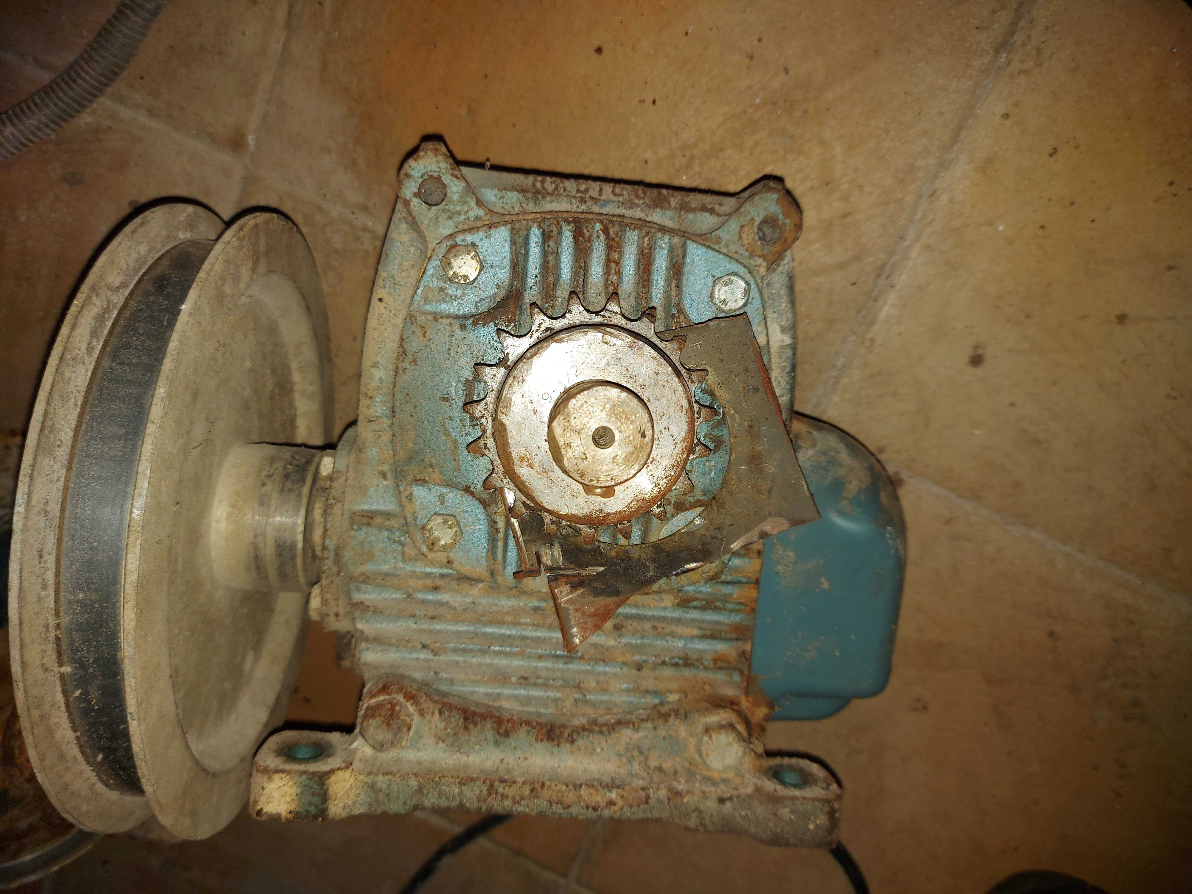 Venda de motores trifásicos de uma tendeira.