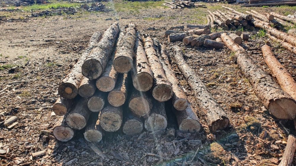 Stemple budowlane kołki paliki bale płot drewno budowa dom sosna